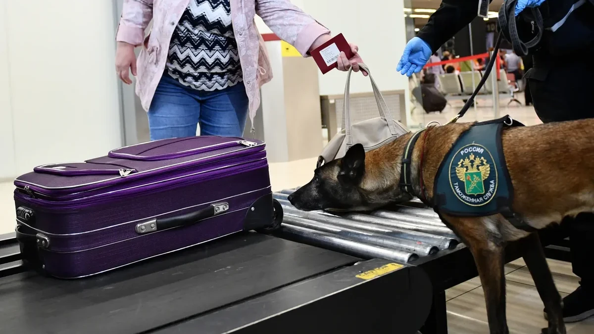 Moskva aeroportunda 95 min dollar dəyərində zinət əşyalarını gizlədən qadın saxlanılıb