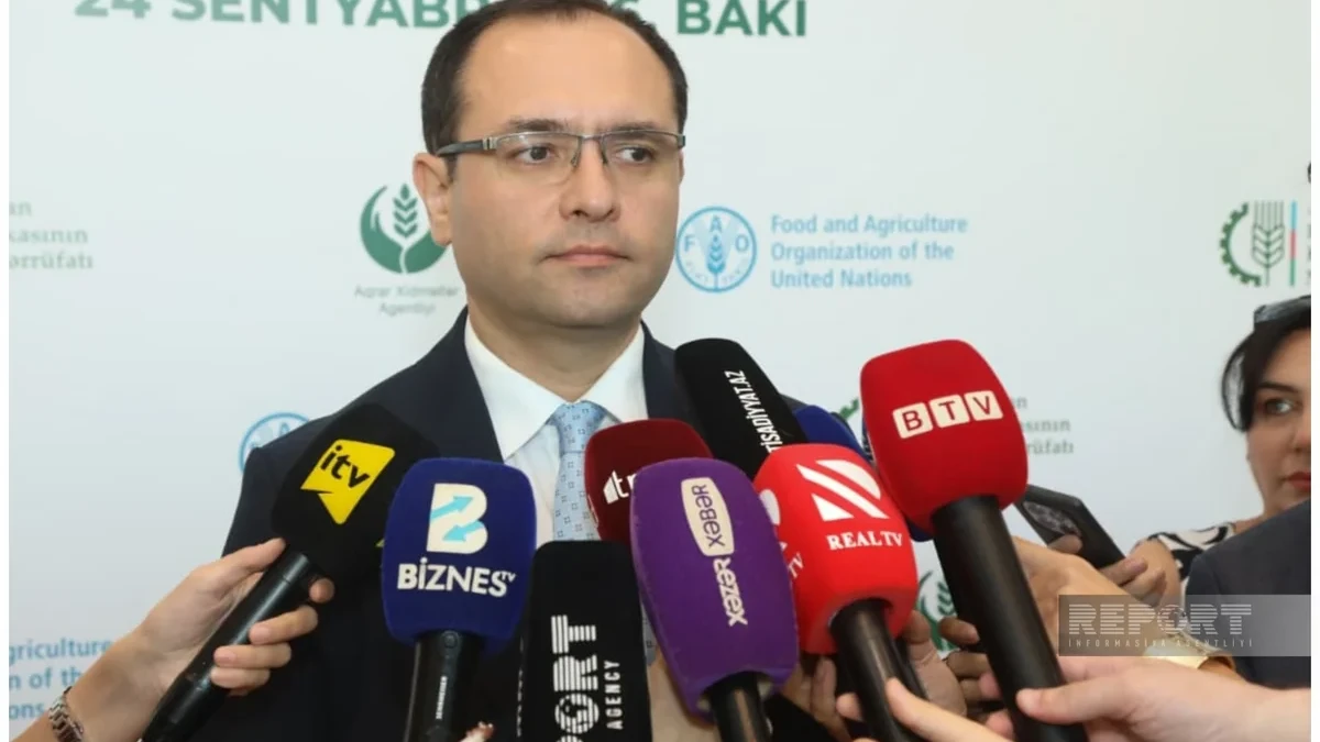 Nazir: "Super elit və elit toxumların istehsalına subsidiyalar veriləcək"