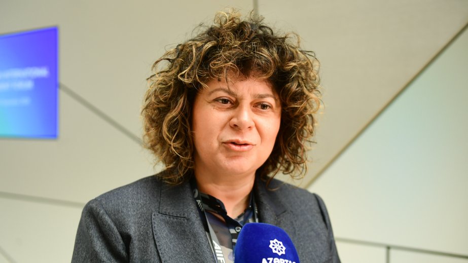 İnvestisiya agentliyinin direktoru: Monteneqro sənaye zonalarının idarəedilməsi üzrə Azərbaycanın təcrübəsini öyrənməkdə maraqlıdır