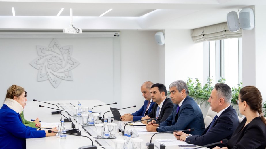 Azerbaijan, WHO consider cooperation in compulsory health insurance