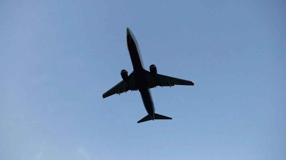 Russian and Ukrainian pilots involved in FlyDubai mid-air fight – UPDATED-2