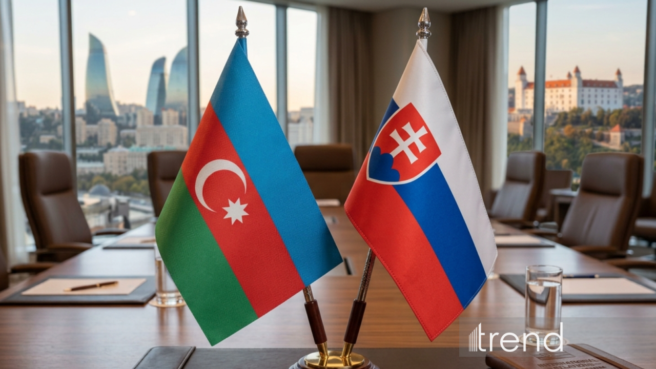 Azərbaycan və Slovakiya arasında məxfi məlumatın mübadiləsi həyata keçiriləcək