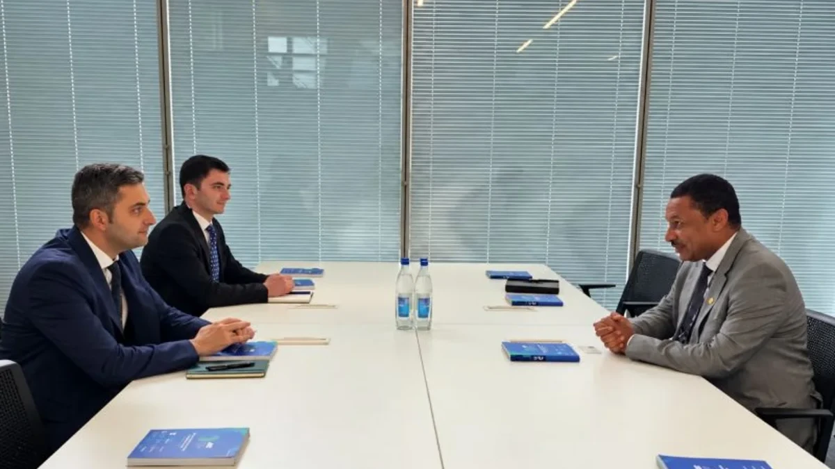 ICIEC, SOCAR Green mull insuring risks for green investments in Azerbaijan