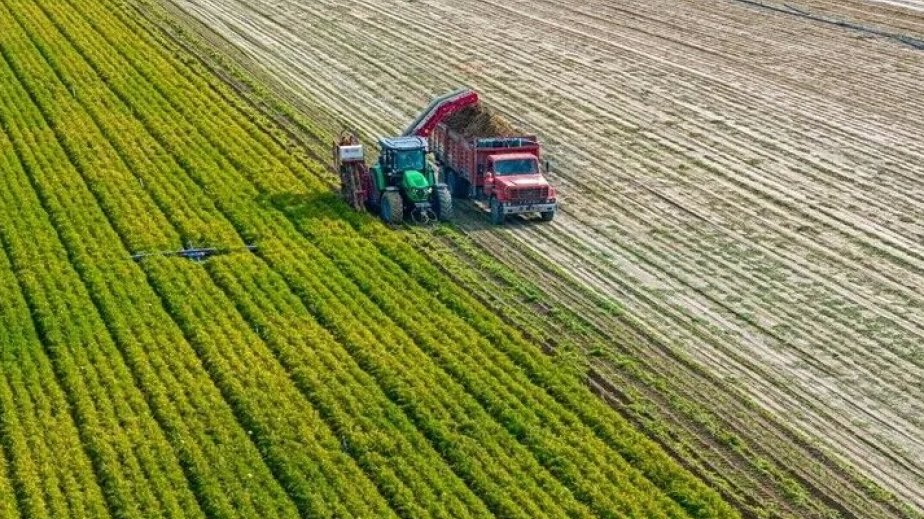 Yaxın Şərqdəki gərginlik fonunda qarğıdalı və soya qiymətləri kəskin artıb