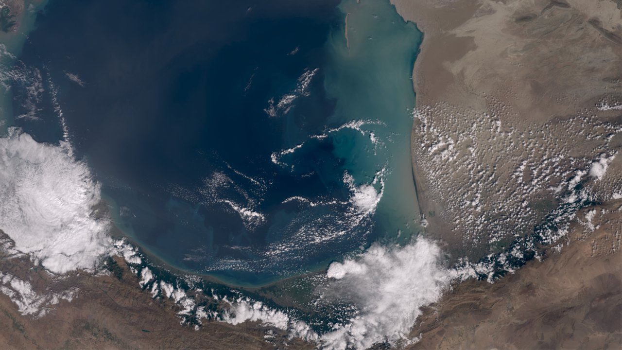Digital tools can unite data for Caspian planning - IOI, CSI (Exclusive)