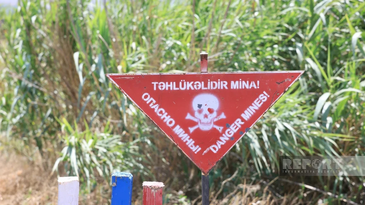 ANAMA: 1,144.9 hectares of territory cleared of mines last week