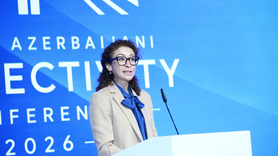 Germany, Azerbaijan seek to expand opportunities for joint project development