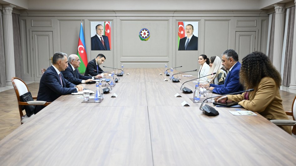 Baş nazir Əli Əsədov Rəqəmsal Əməkdaşlıq Təşkilatının Baş katibi ilə görüşüb