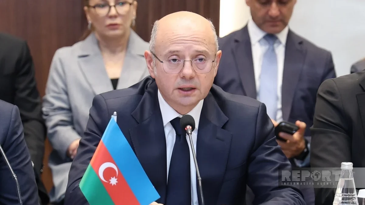 Nazir: "BP şirkəti ilə yeni layihələr Azərbaycanın enerji keçidini sürətləndirəcək"