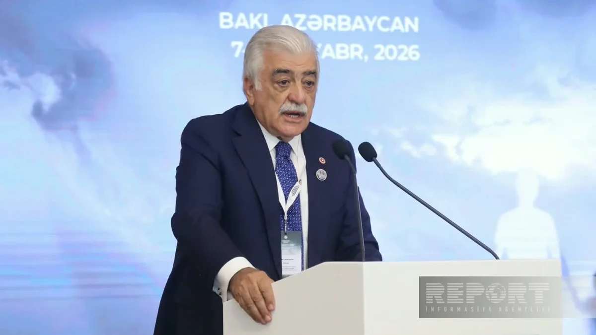 Şamil Ayrım: Türkiyəyə qarşı soyqırımı iddiasının obyektiv araşdırılması üçün arxivlərin açılması zəruridir