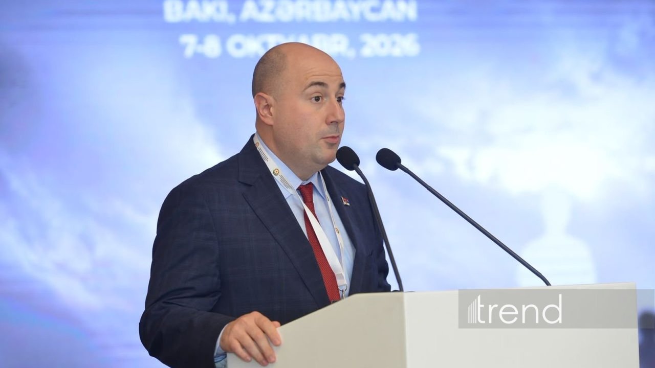 İtkin düşmüş şəxslərin tapılması üçün davamlı əməkdaşlıq tələb olunur - Serbiya XİN