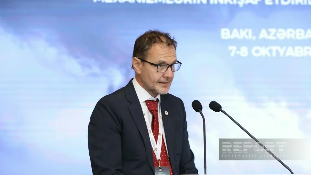Kristian Riviye: Münaqişələrdə itkin düşənlərin taleyinin müəyyənləşdirilməsi asan proses deyil