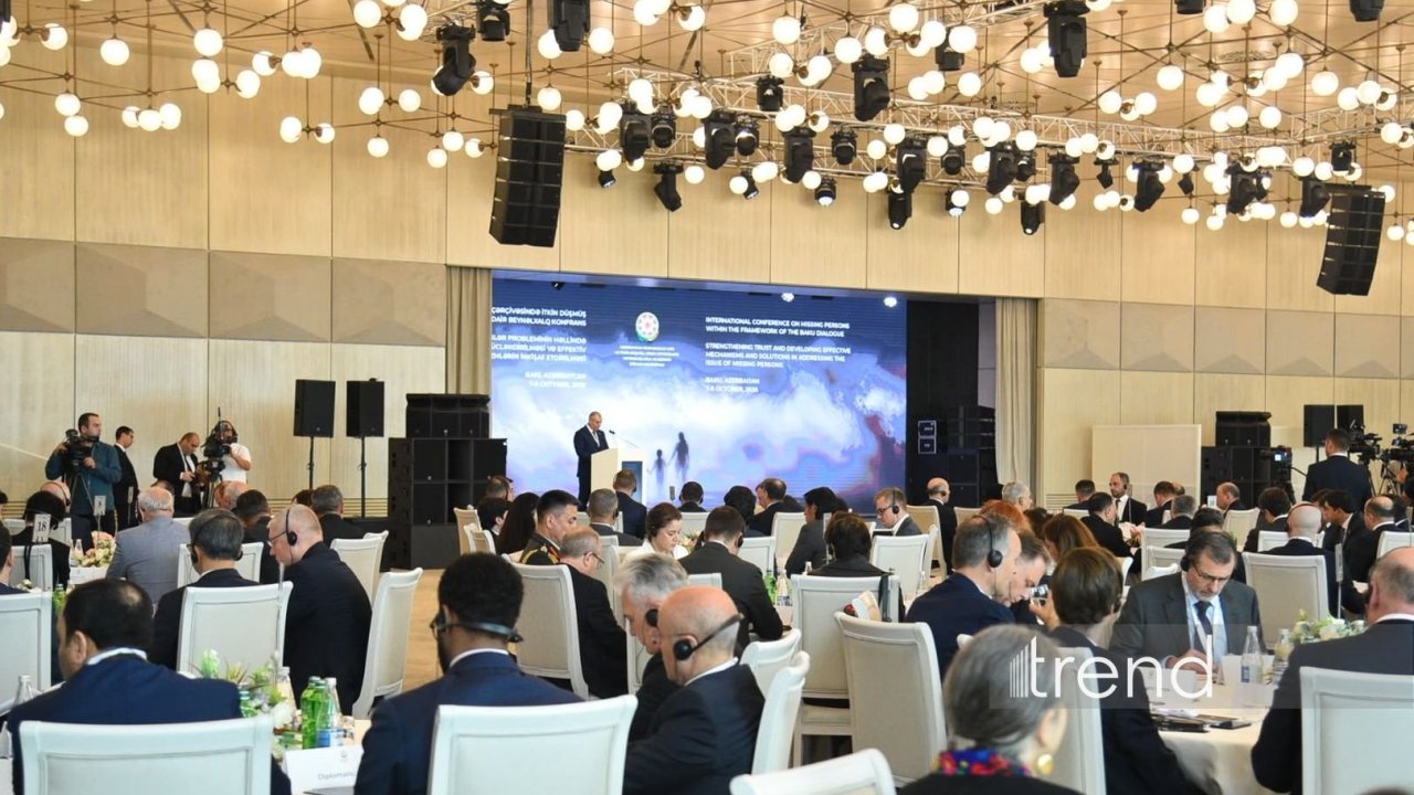 Bakıda İtkin düşmüş şəxslər üzrə Bakı Dialoqu çərçivəsində IV beynəlxalq konfrans keçirilir