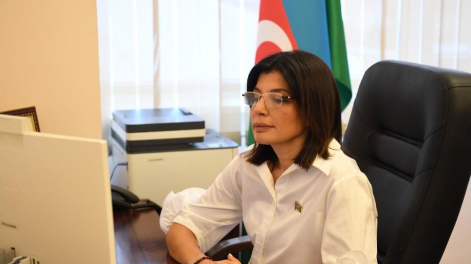 TÜRKPA-ya üzv dövlətlər arasında vahid informasiya məkanının yaradılması diqqət mərkəzində