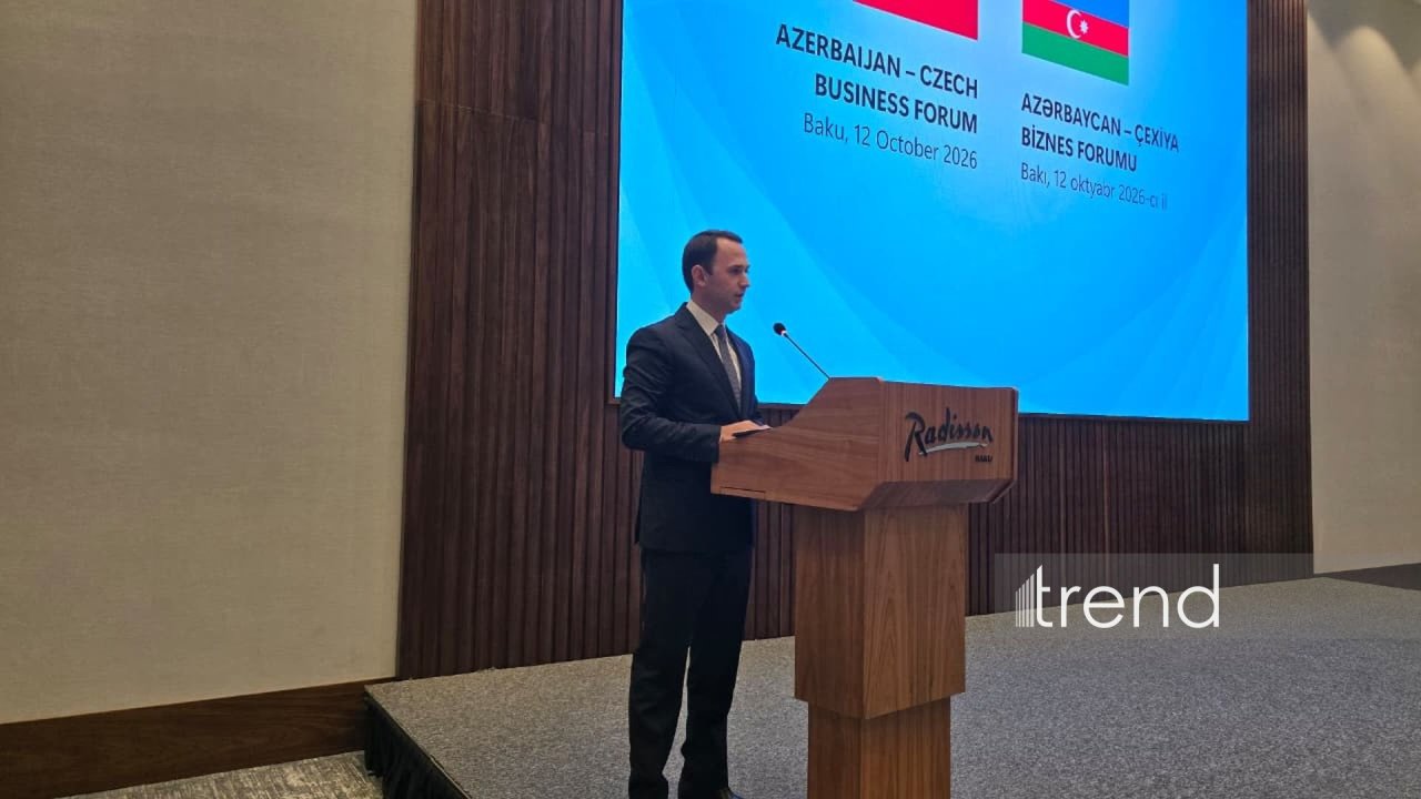 Azərbaycan Çexiya şirkətləri ilə nəqliyyat və logistika sahəsində əməkdaşlığı genişləndirməkdə maraqlıdır - Şahin Babayev