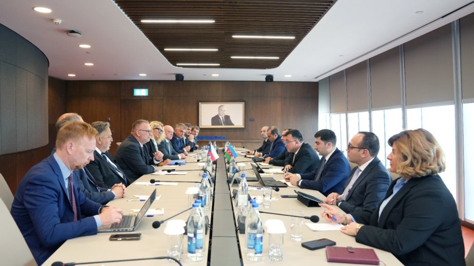 Azerbaijan, Czechia discuss prospects for transport and logistics cooperation