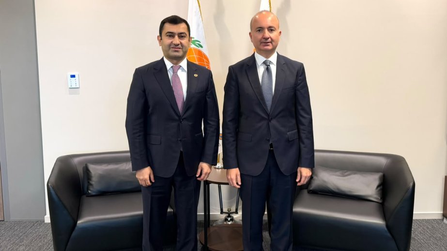 Azerbaijan, International Civil Defence Organization enhance cooperation