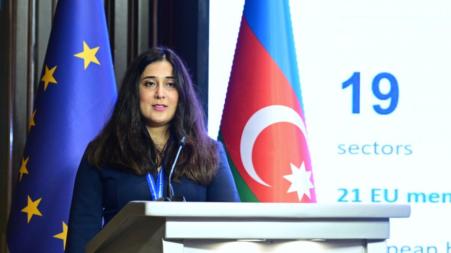 Aytən Axundova: Avropa şirkətlərinin 57 faizi Azərbaycandakı iqtisadi vəziyyəti qənaətbəxş sayır