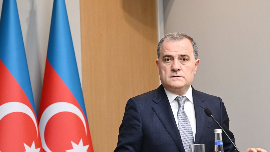 Foreign Minister: Nearly 500 Indian students study in Azerbaijan