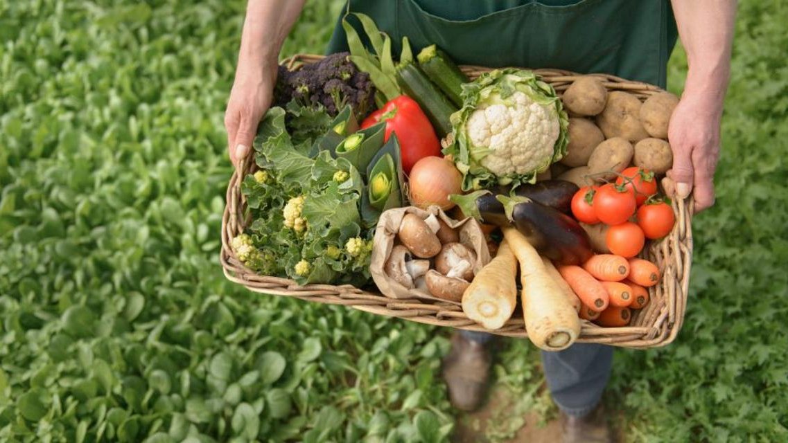 Latvia eyes dairy, meat, food tech exports to Kazakhstan (Exclusive)